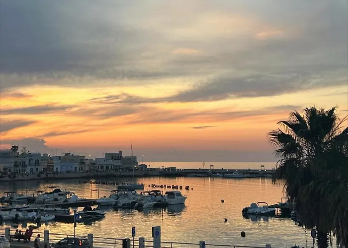 Bed & Breakfast Orchidea Bari