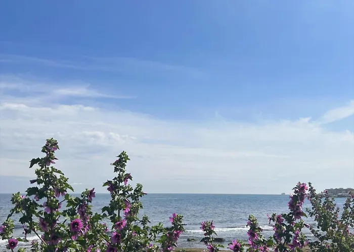 Bed & Breakfast Orchidea